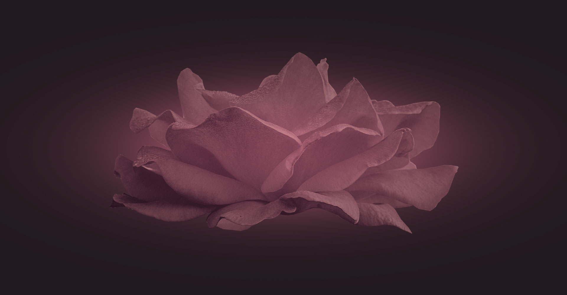 home_perfume_sectionbg2